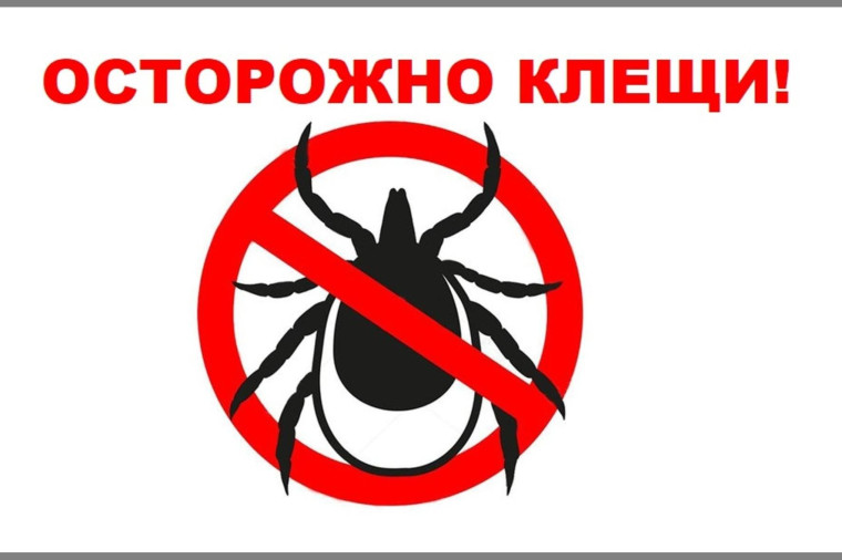 Осторожно: клещи.